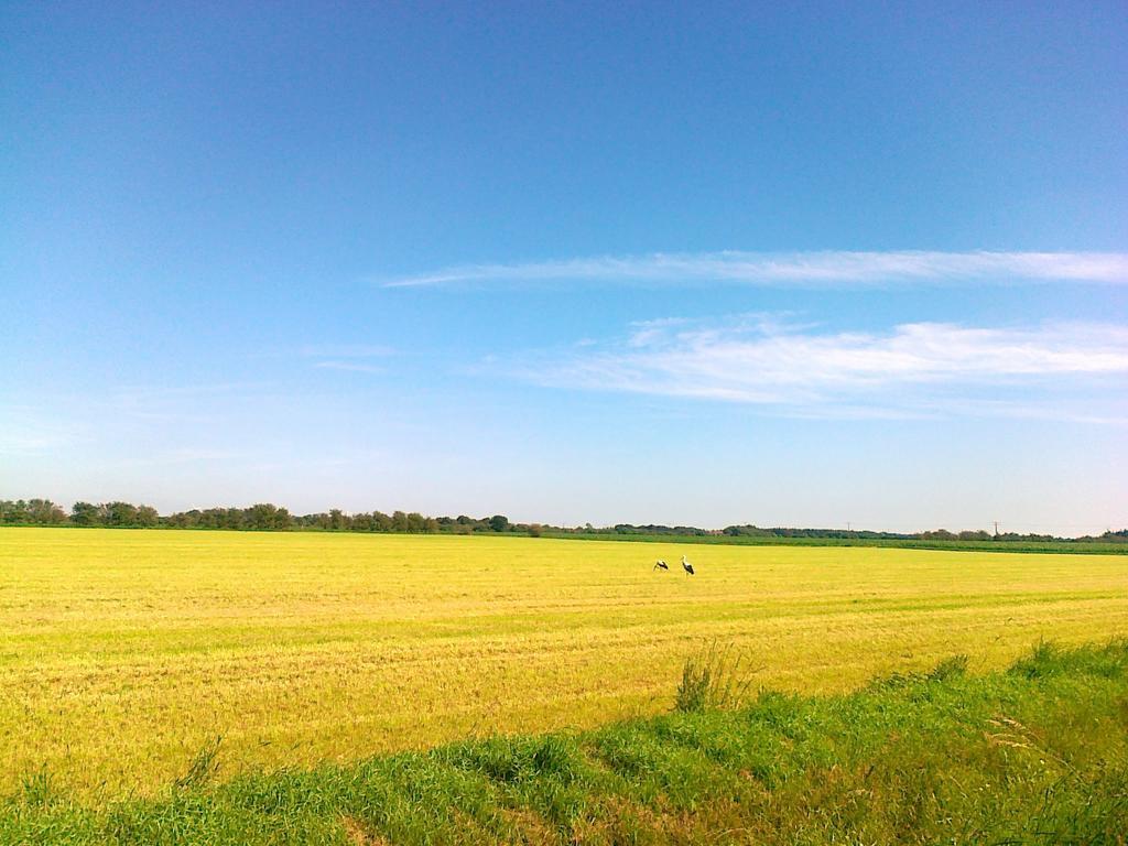 Gabelshof Block Leilighet Meynfeld Rom bilde